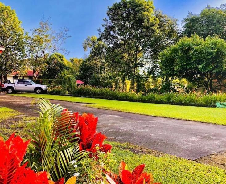 Befox Adventure Hotel La Fortuna Exterior foto