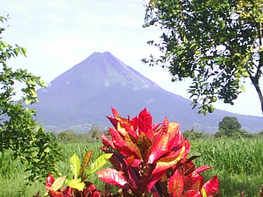Befox Adventure Hotel La Fortuna Exterior foto